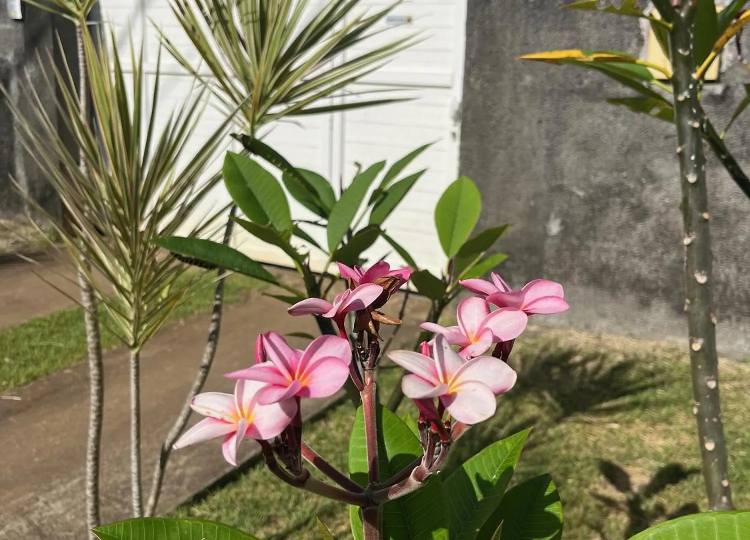 Studio Sun Beach 르 고지에 아파트